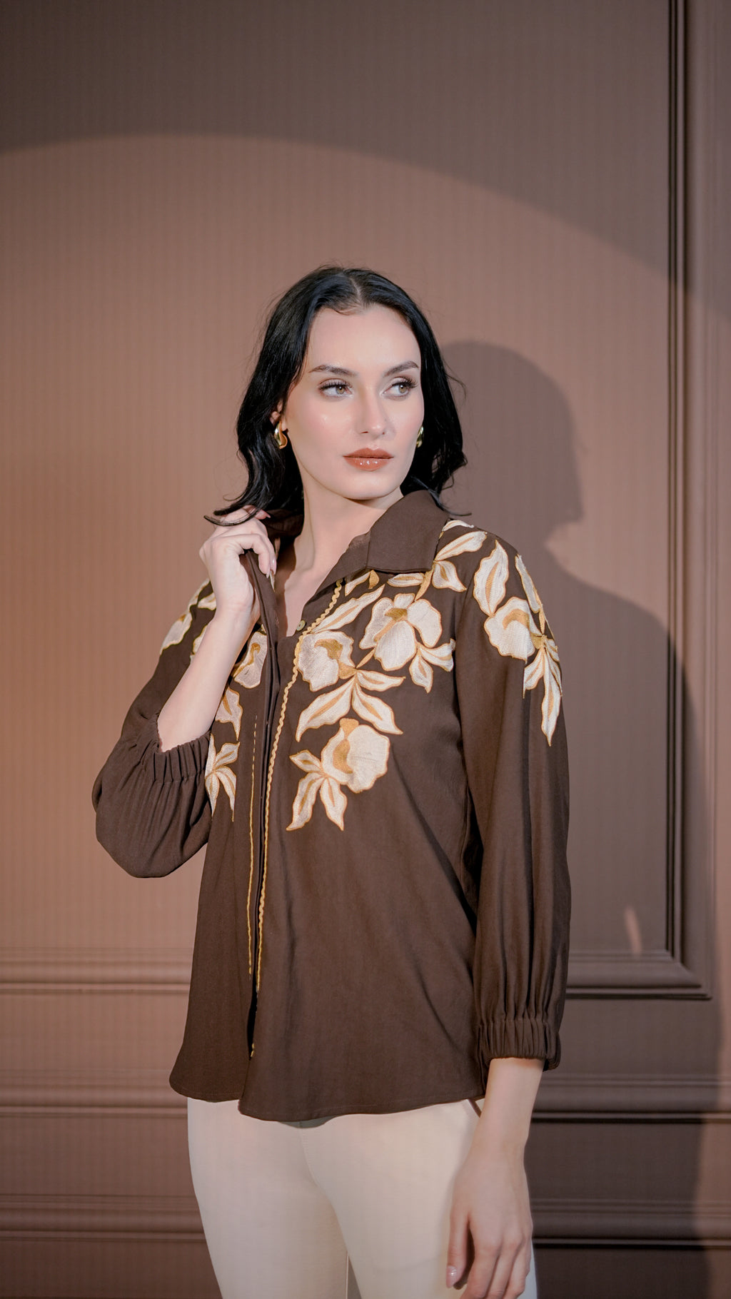 Brown Classic Embroidered Shirt